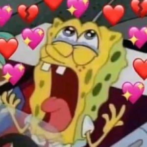 Meet your Posher, Ann